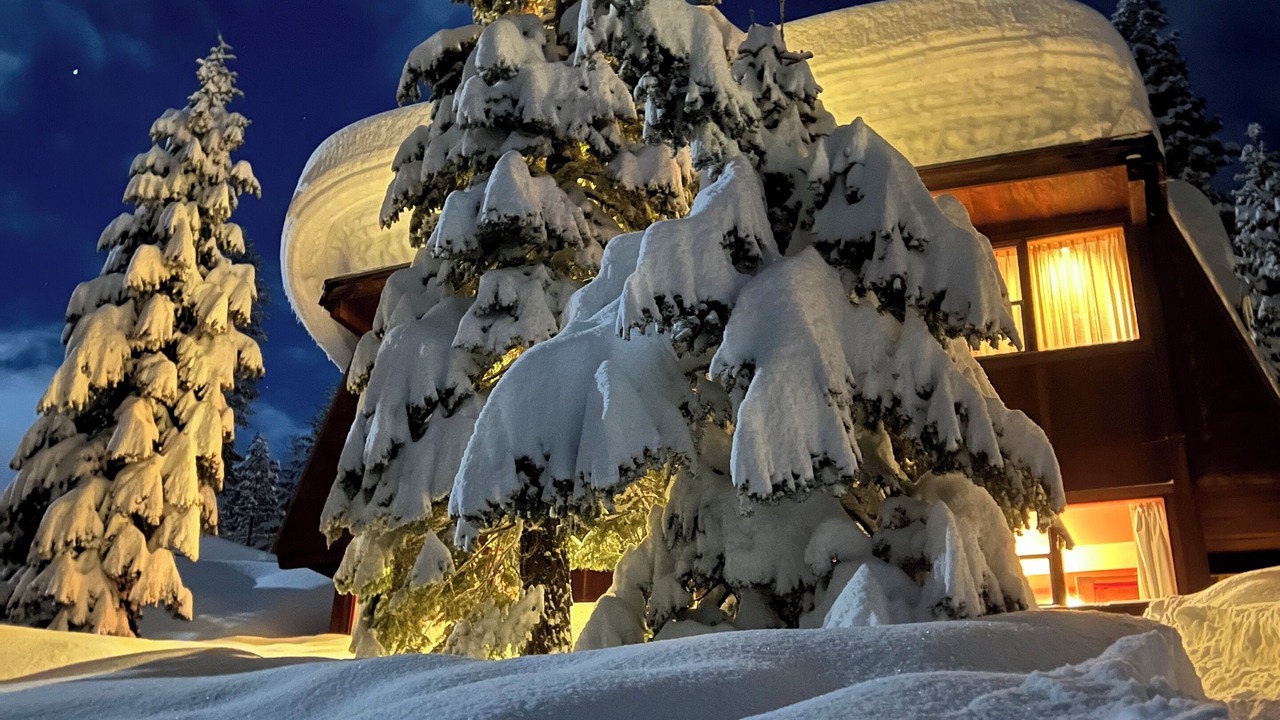 Photo of Outdoor in Alpine Meadows