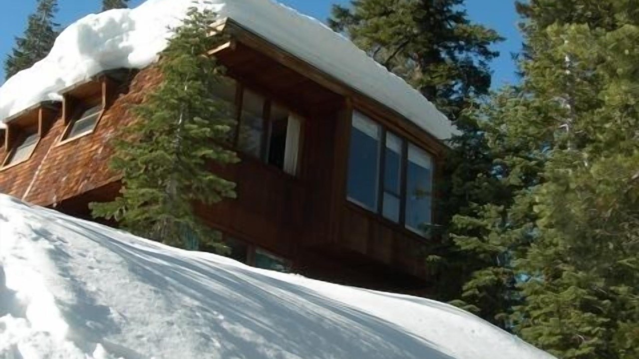 Photo of Others in Alpine Meadows
