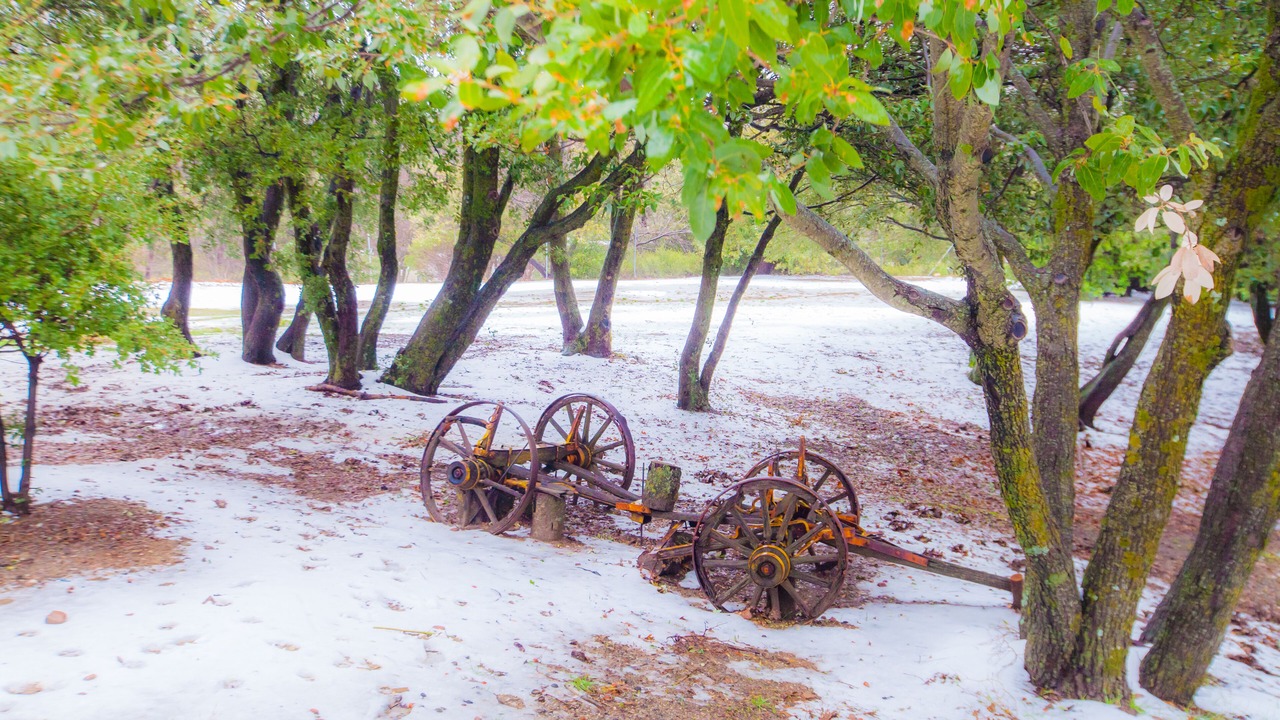 Photo of Outdoor in Julian