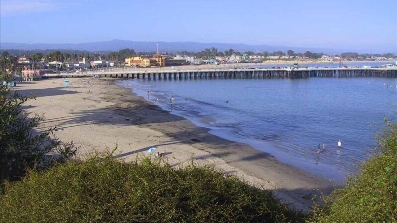 Photo of Others in Westside Santa Cruz