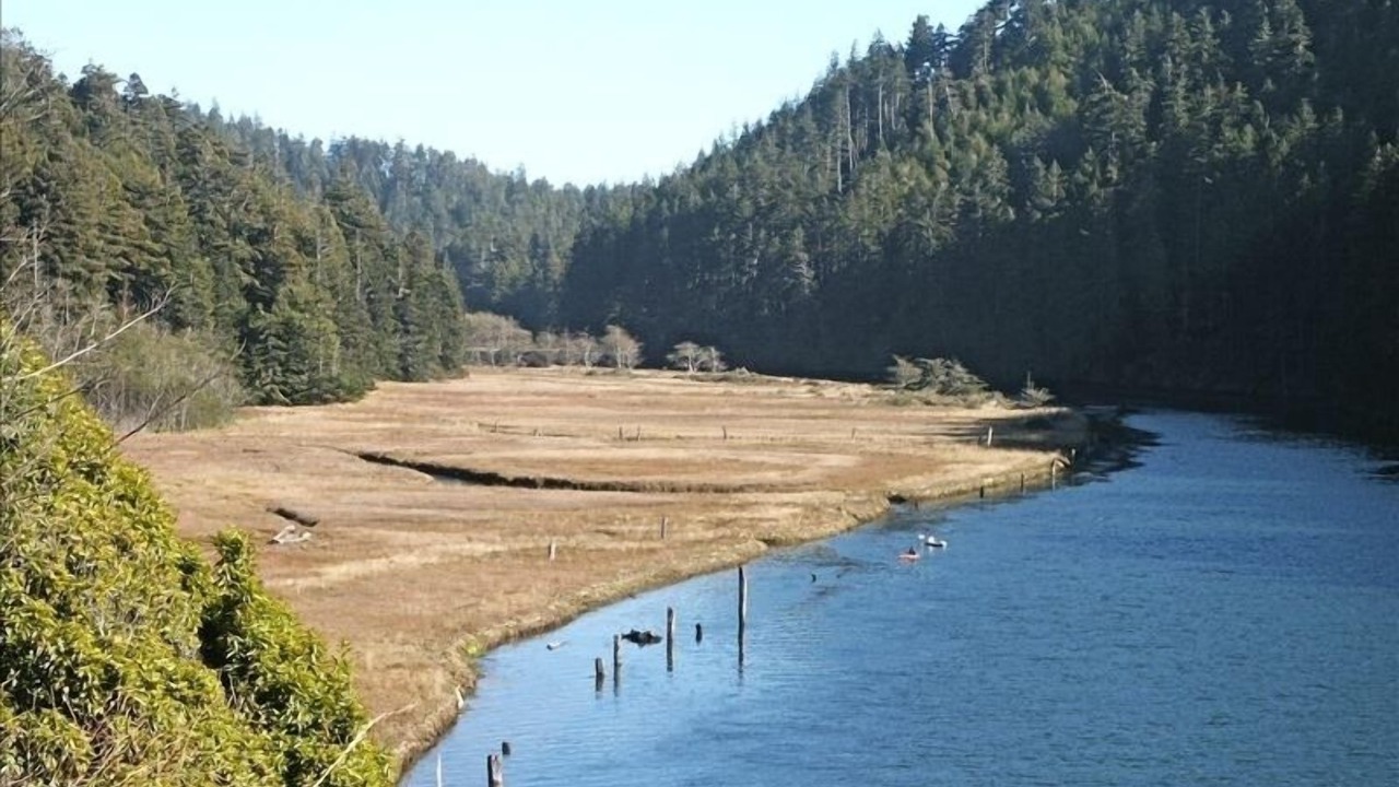 Photo of Others in Mendocino