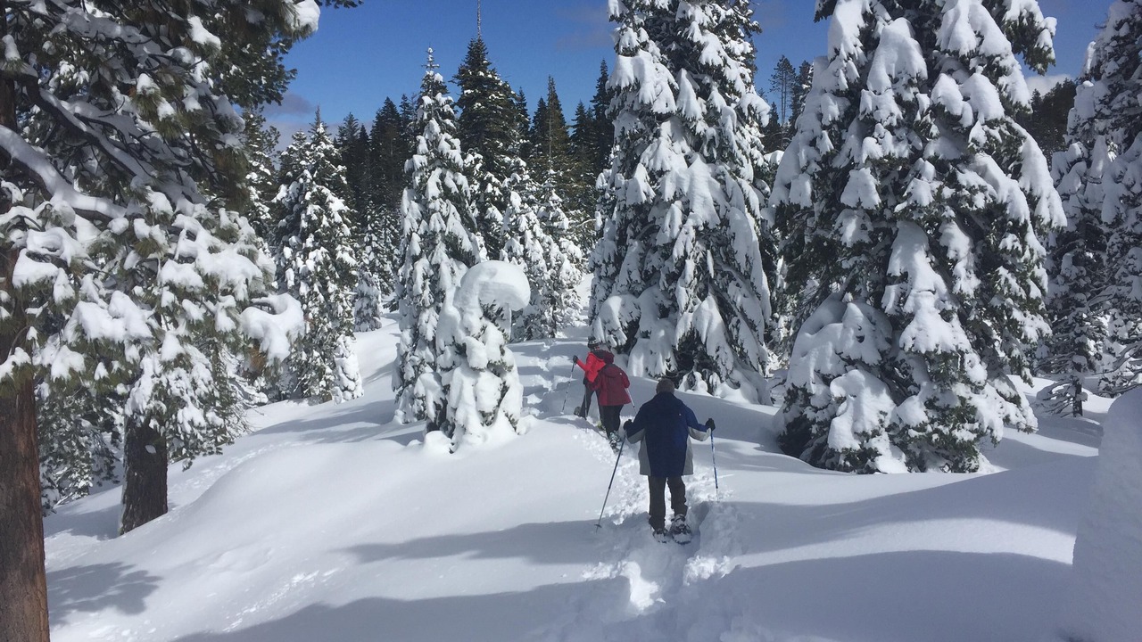 Photo of Others in Tahoma