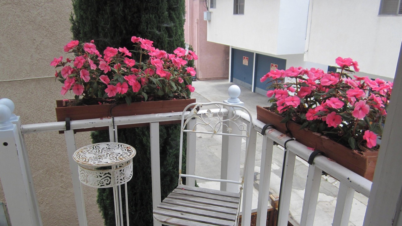 Photo of Patio Balcony in Belmont Shore