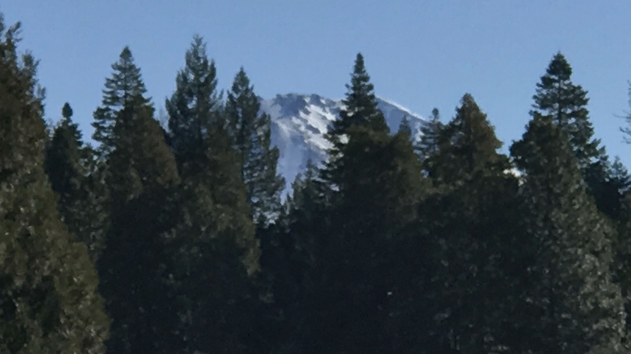 Photo of Others in Shingletown