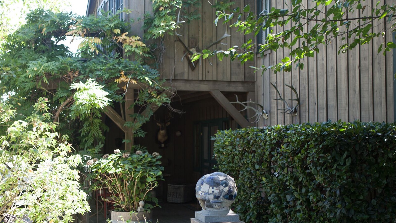 Photo of Others in St. Helena