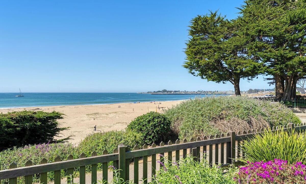 Photo of Outdoor in Seabright