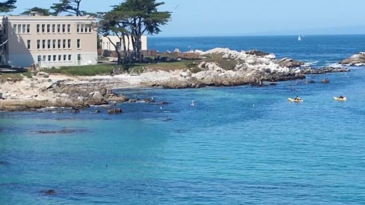 Photo of Others in Monterey