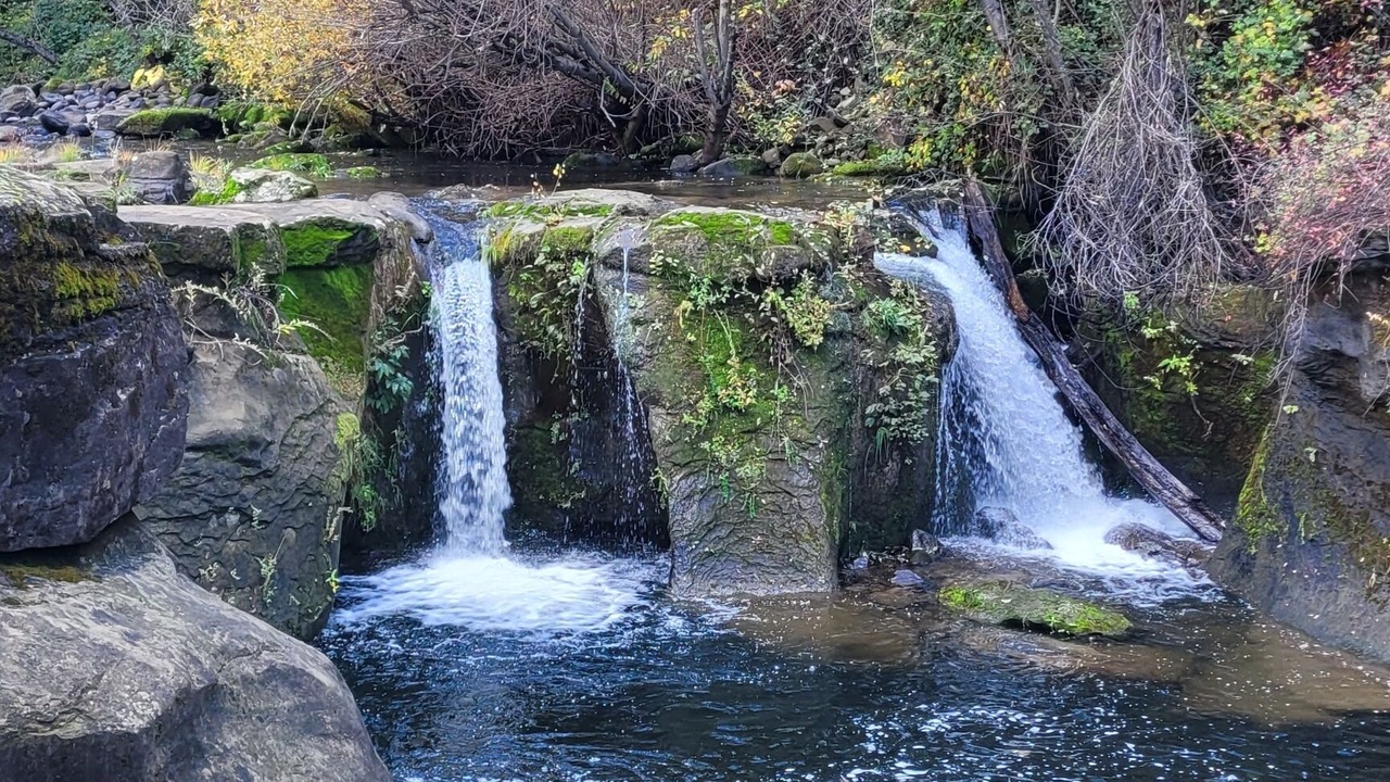 Photo of Others in Shasta County