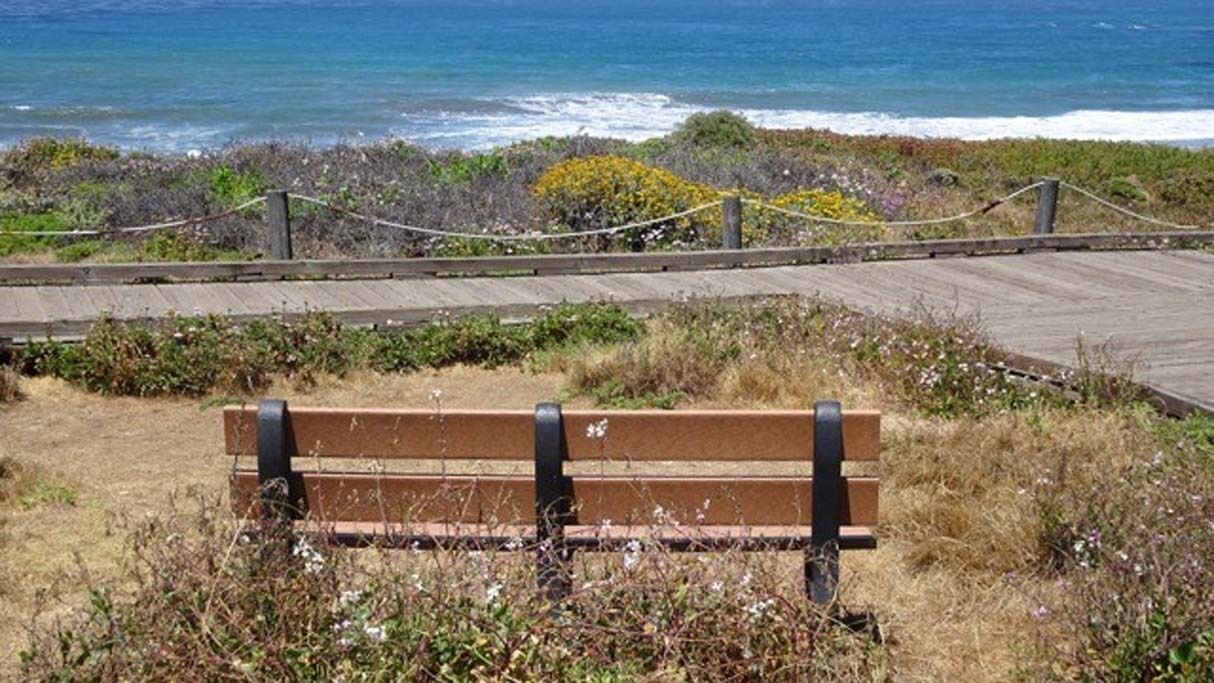 Photo of Others in Marine Terrace