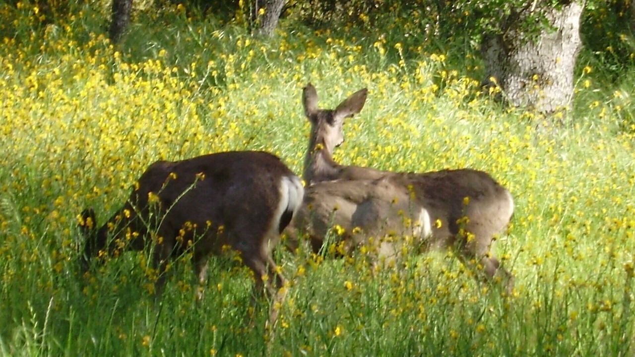 Photo of Others in Three Rivers