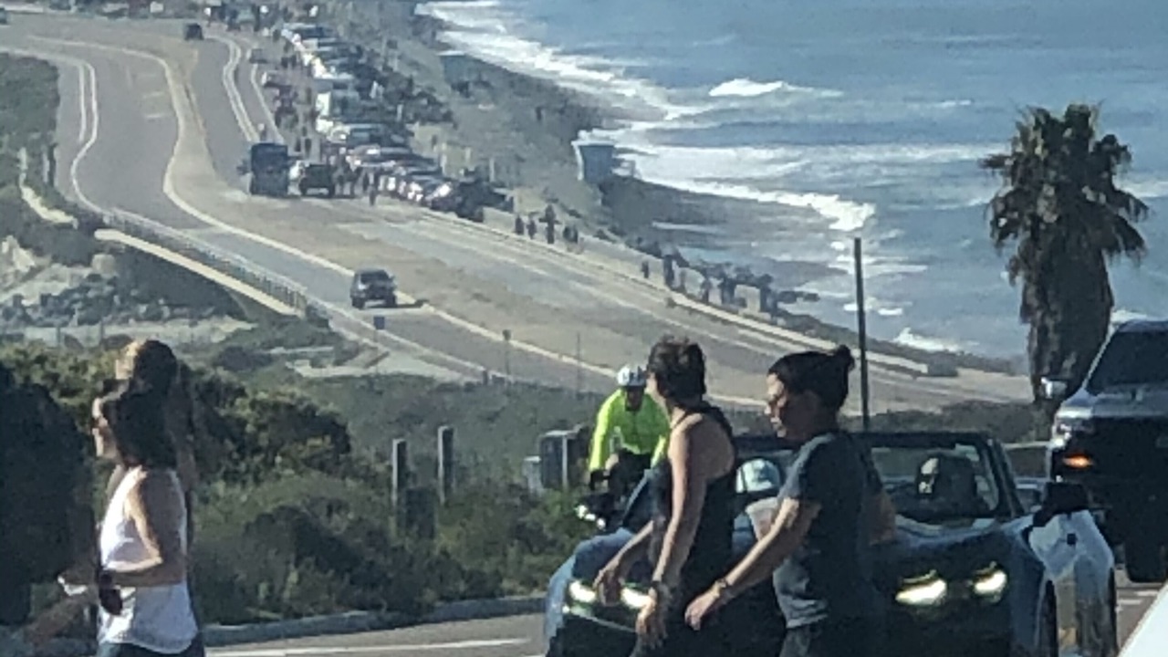 Photo of Others in Del Mar Heights