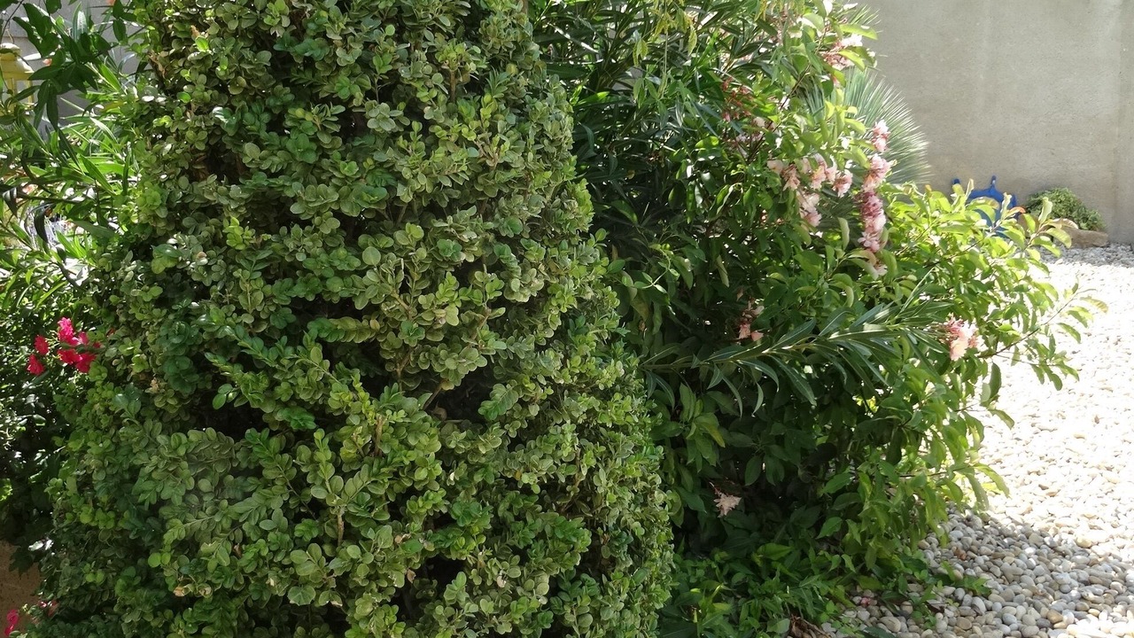 Photo of Outdoor in Saint-Roman-de-Malegarde
