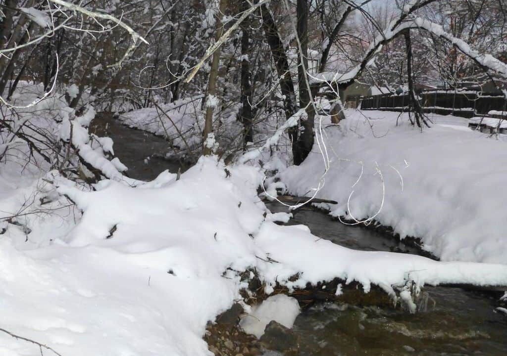 Photo of Others in Prescott
