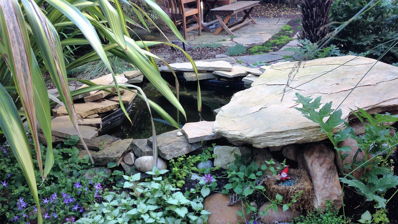 Photo of Outdoor in Santa Rosa