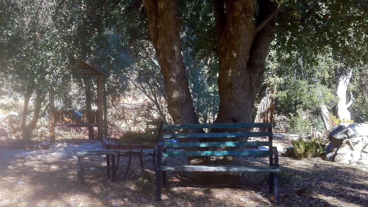 Photo of Others in Pine Mountain Club