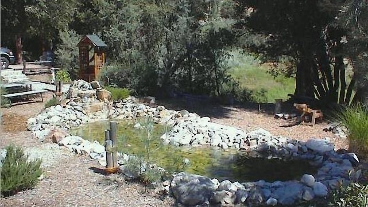 Photo of Others in Pine Mountain Club