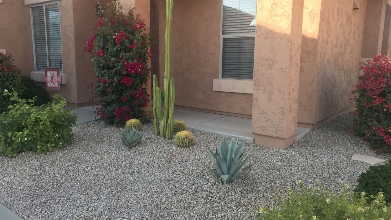 Photo of Others in Paradise Valley Village