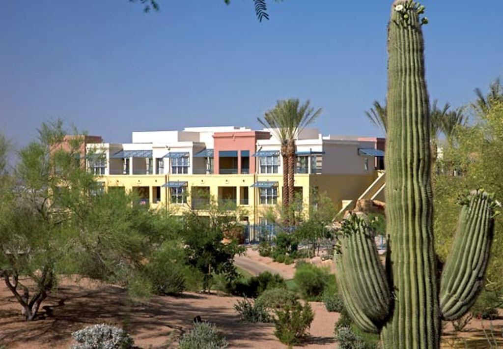 Photo of Outdoor in Desert Ridge