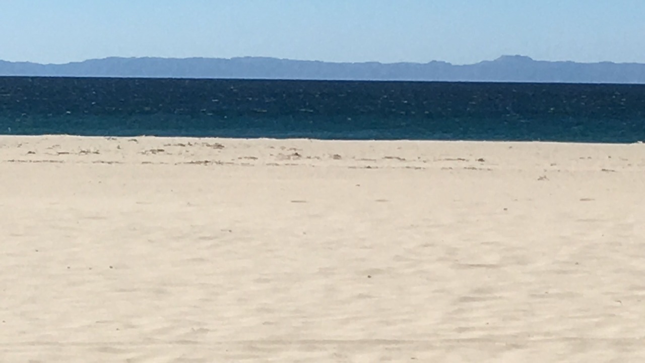 Photo of Others in West Newport