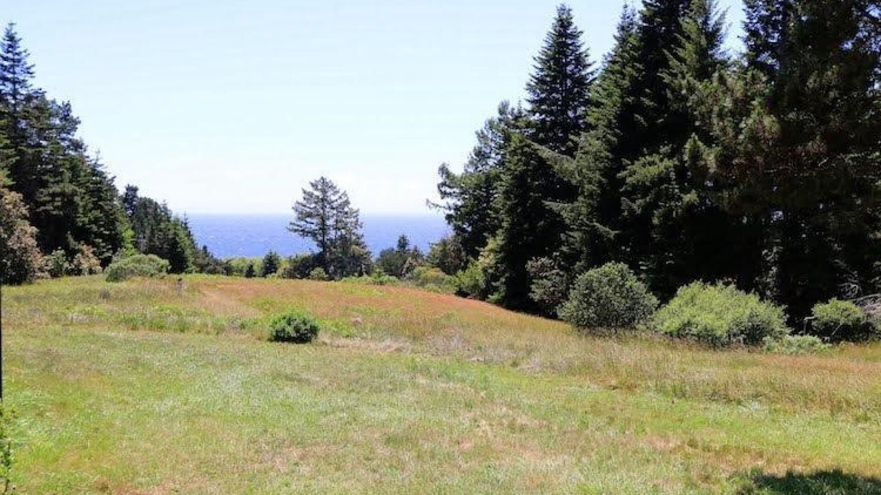 Photo of Outdoor in Sea Ranch