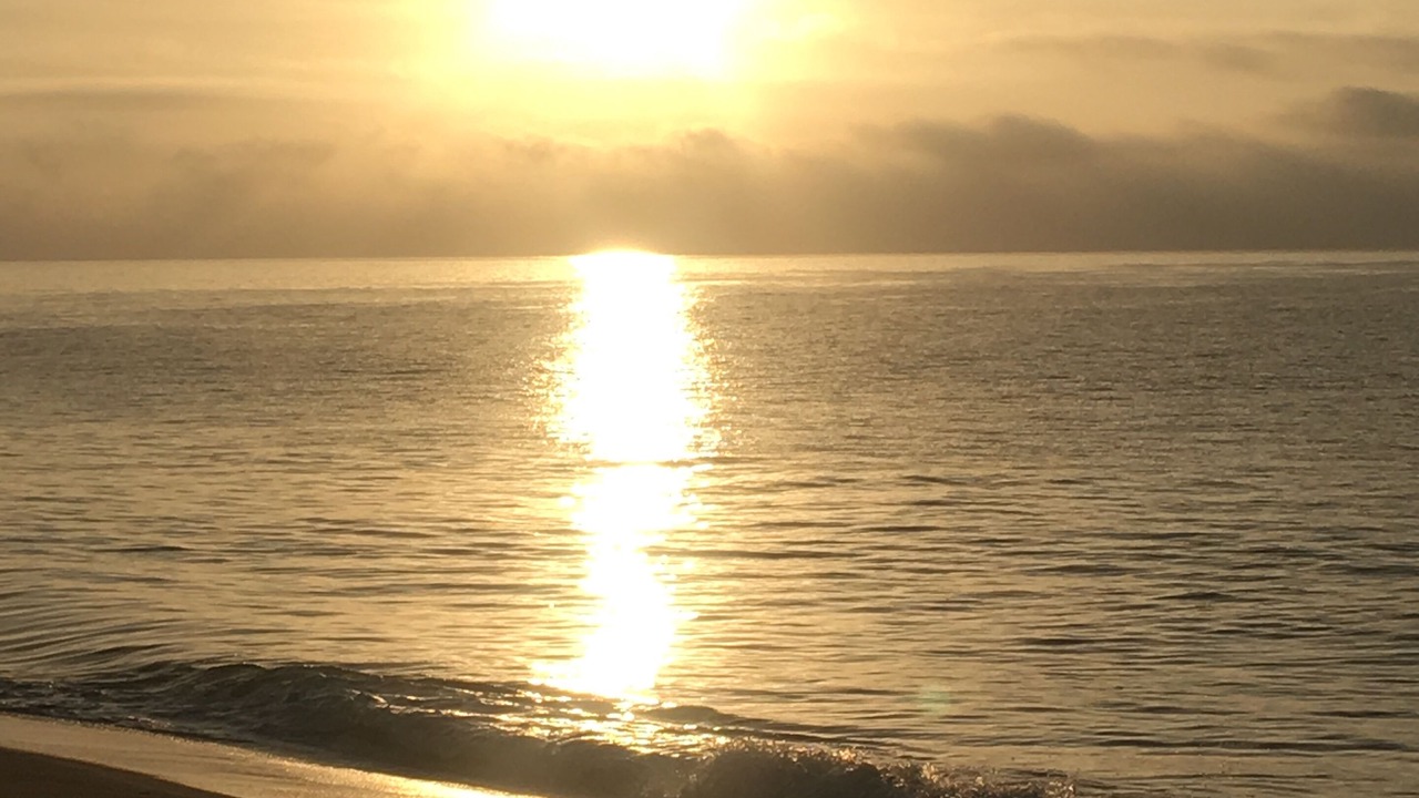 Photo of Others in Central Malibu