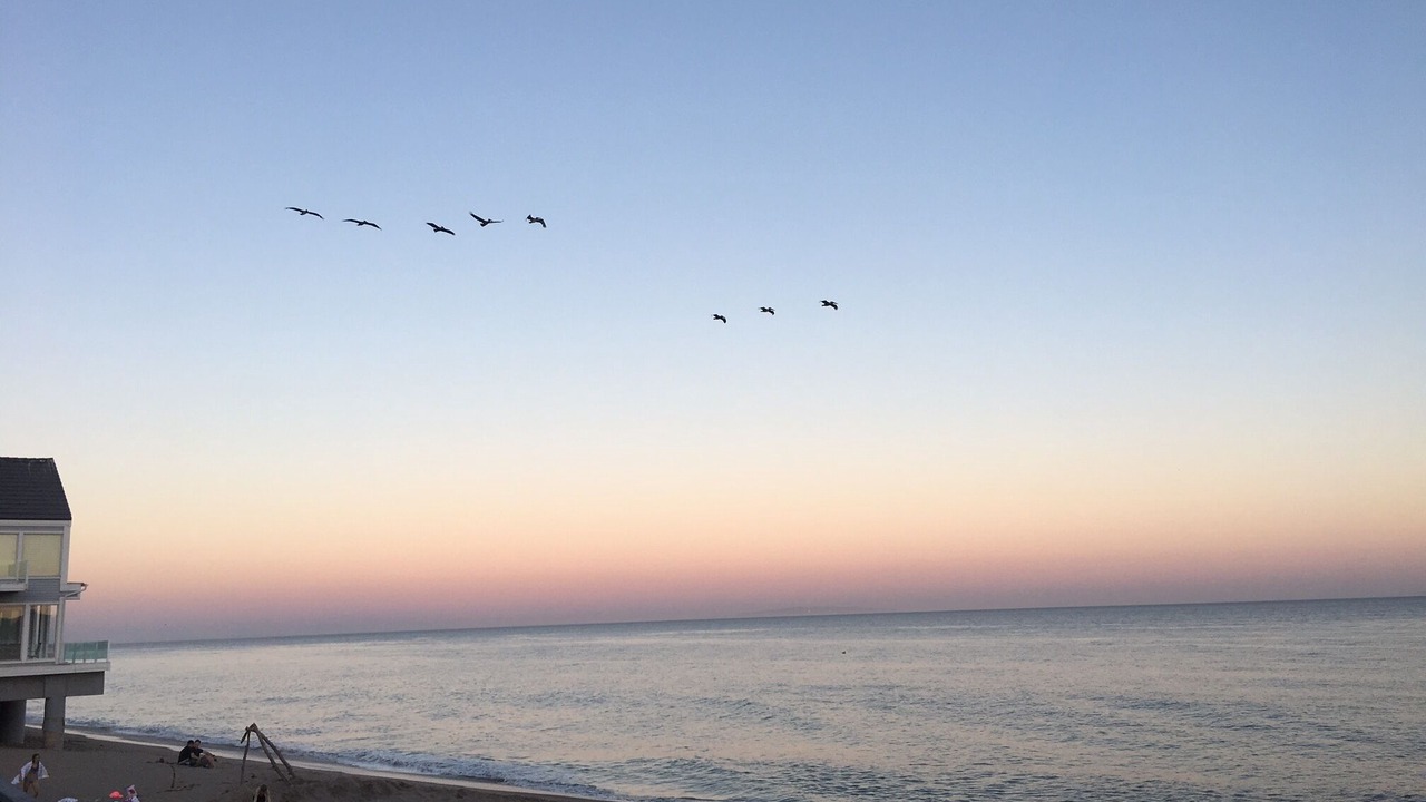 Photo of Others in Central Malibu