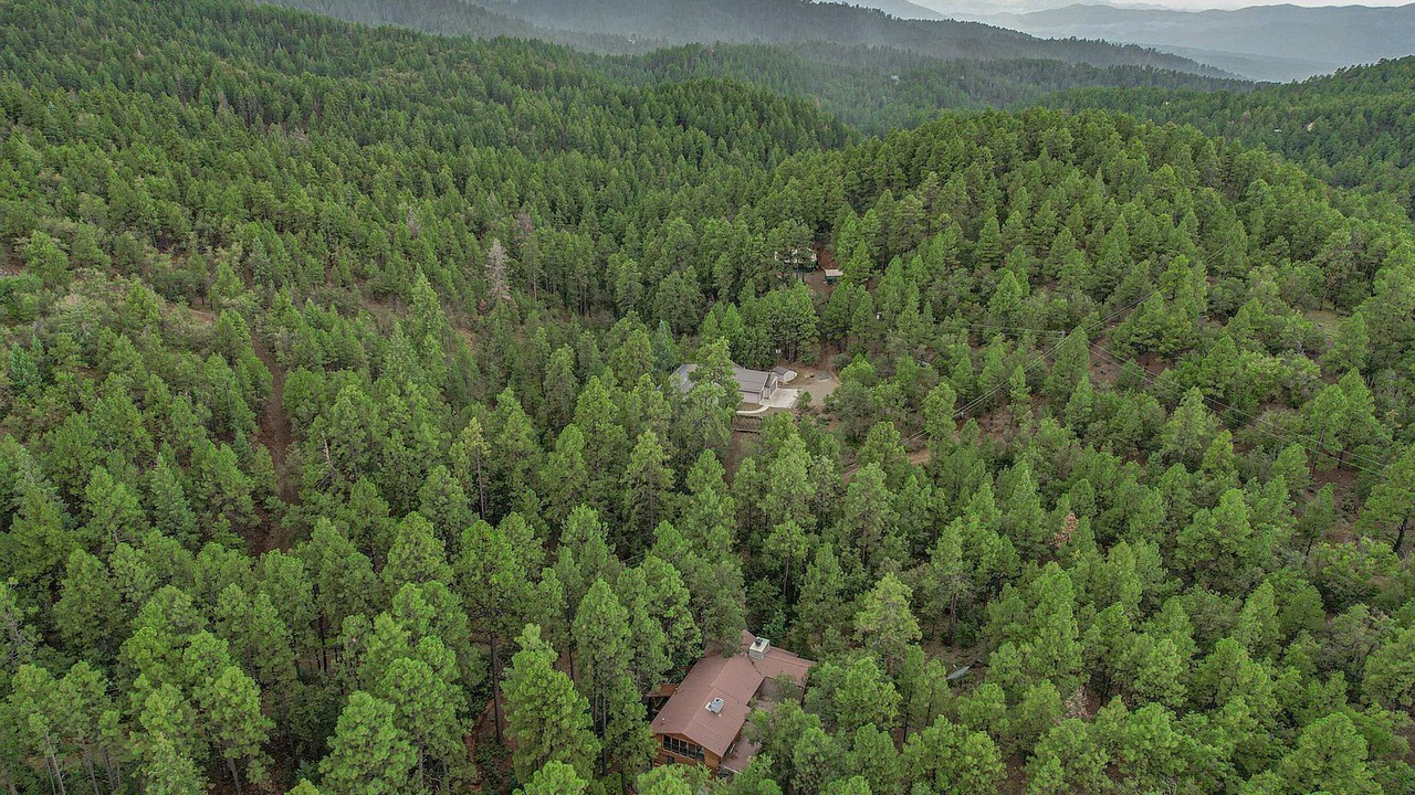 Photo of Outdoor in Prescott