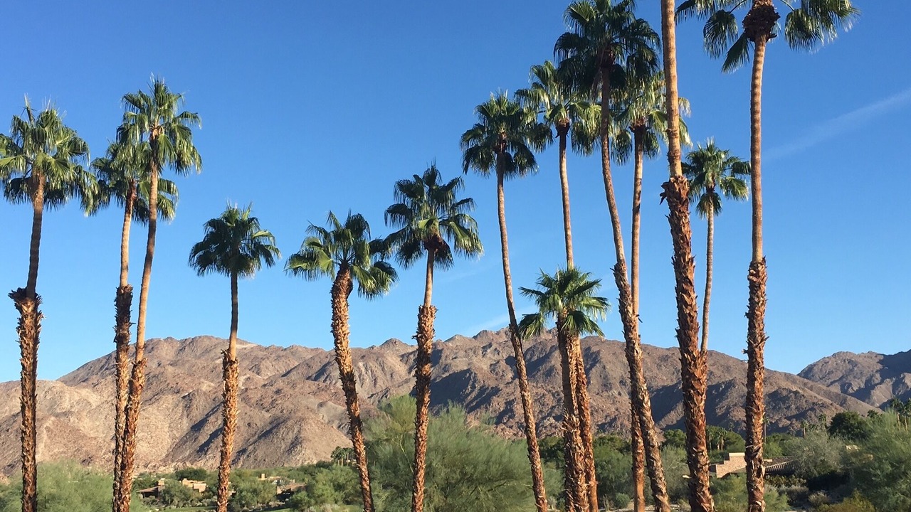 Photo of Others in Palm Desert