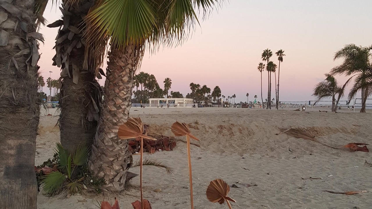 Photo of Others in Belmont Shore