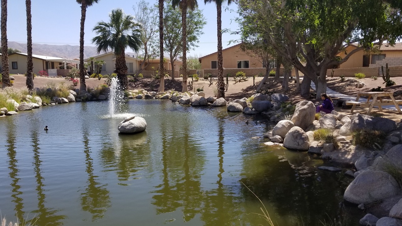 Photo of Others in Desert Hot Springs