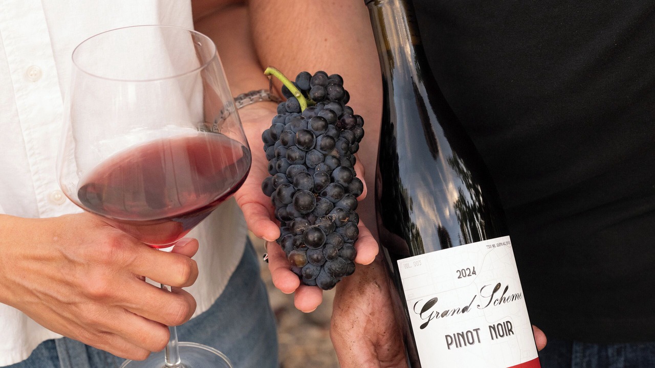 Photo of Others in Sonoma