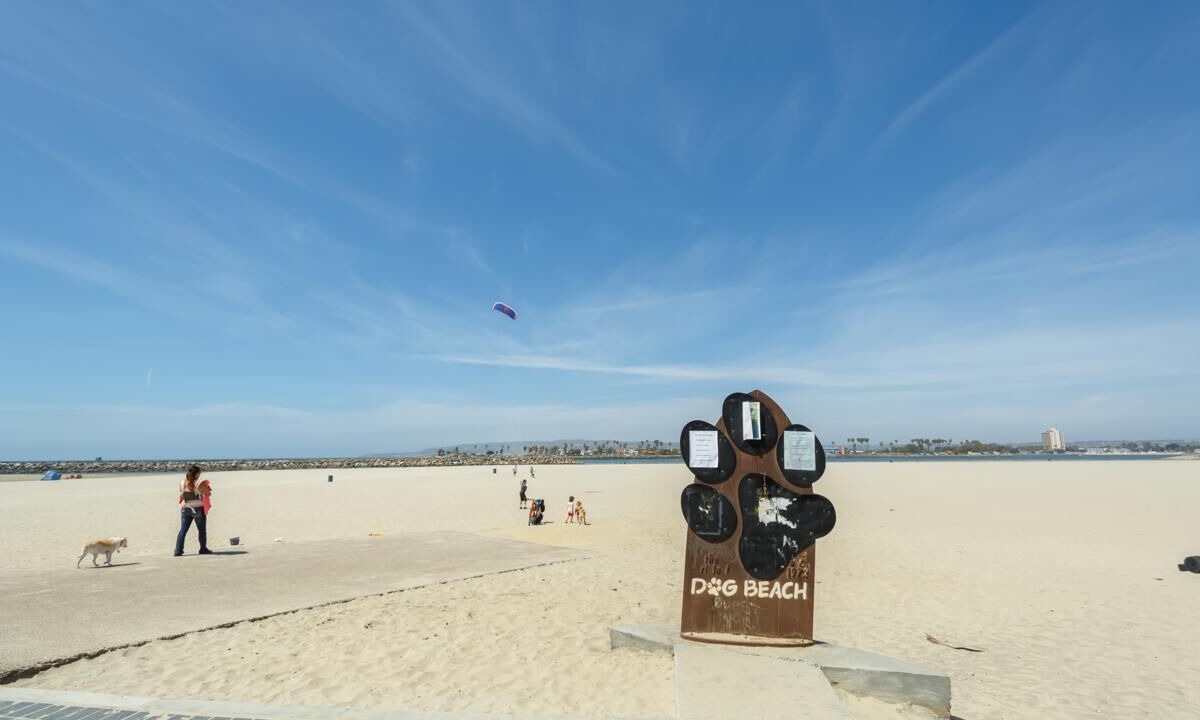 Photo of Others in Ocean Beach