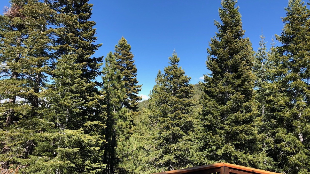 Photo of Outdoor in Truckee