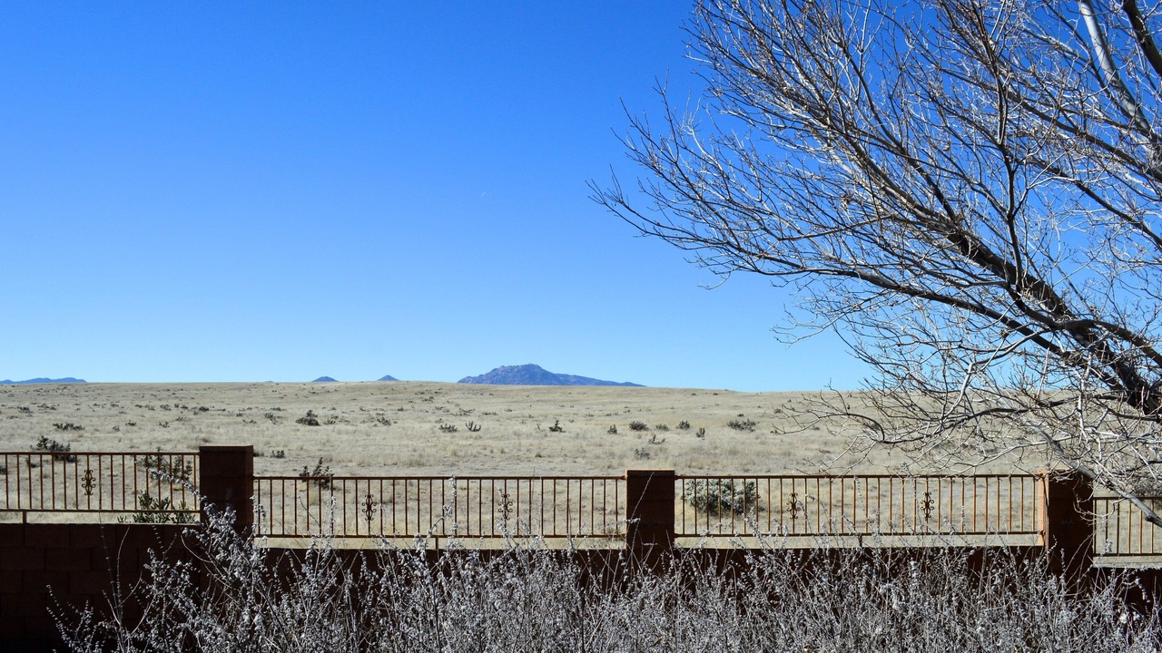 Photo of Others in View Point