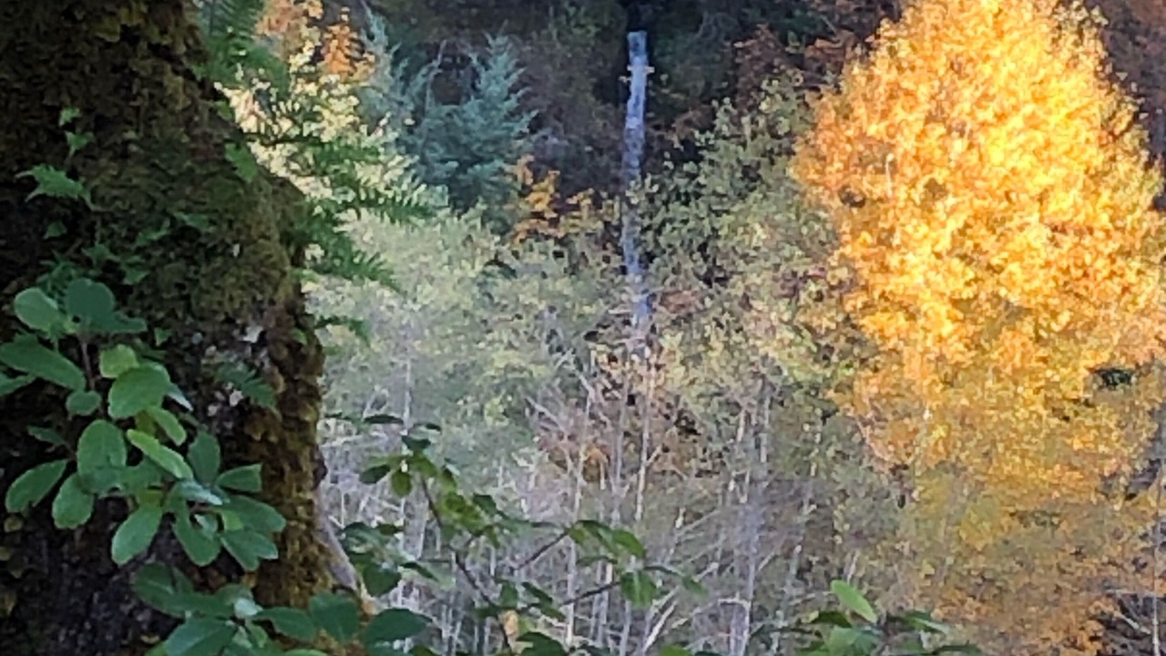 Photo of Outdoor in Crescent City