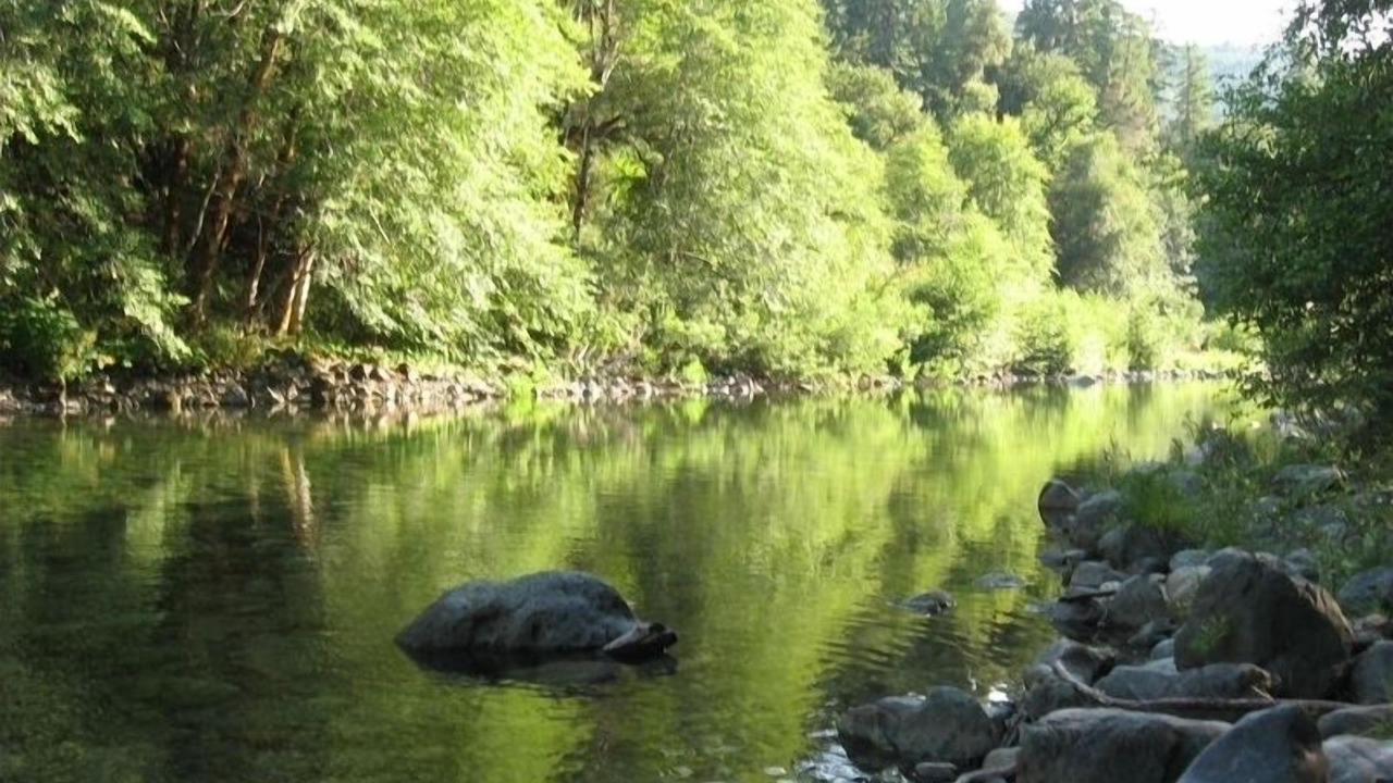 Photo of Others in Crescent City