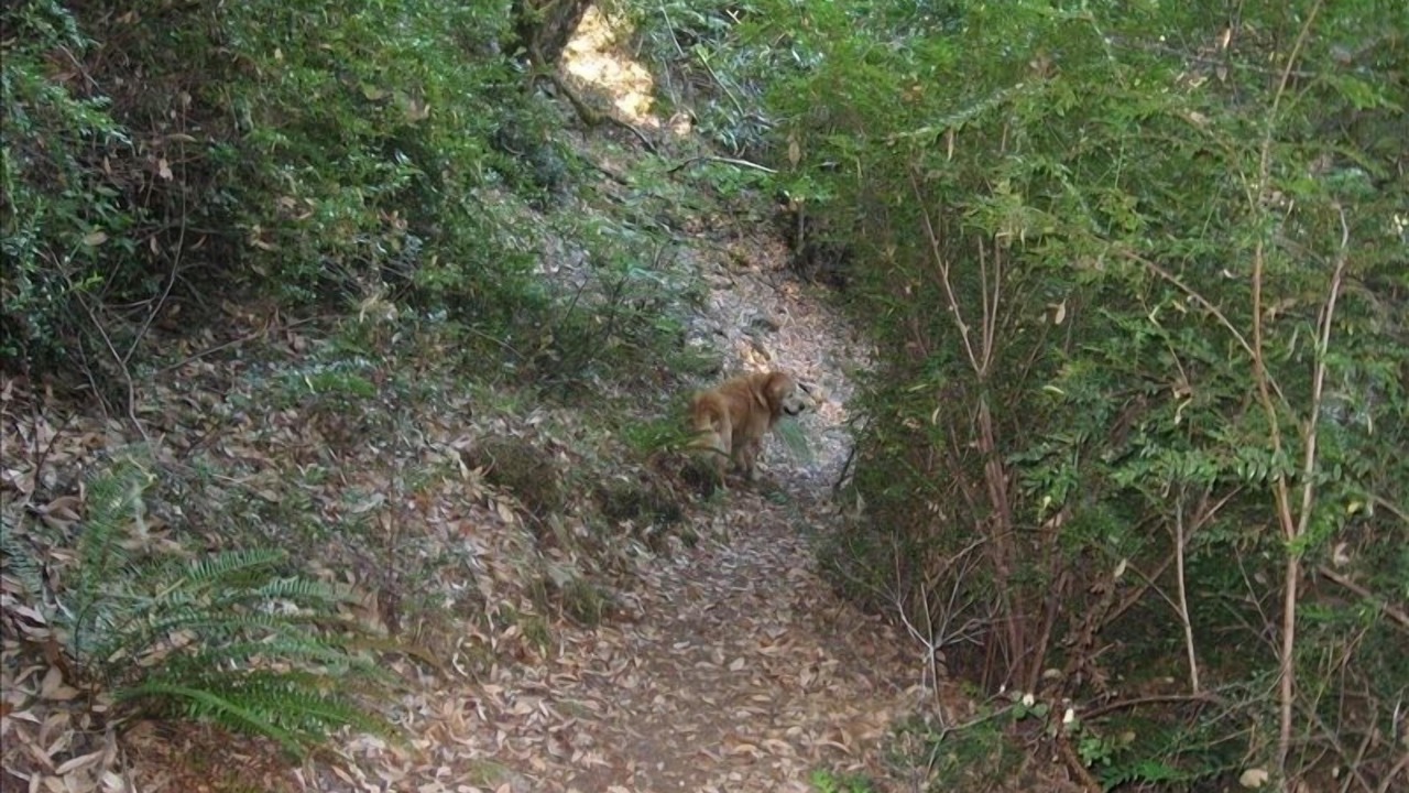 Photo of Others in Crescent City