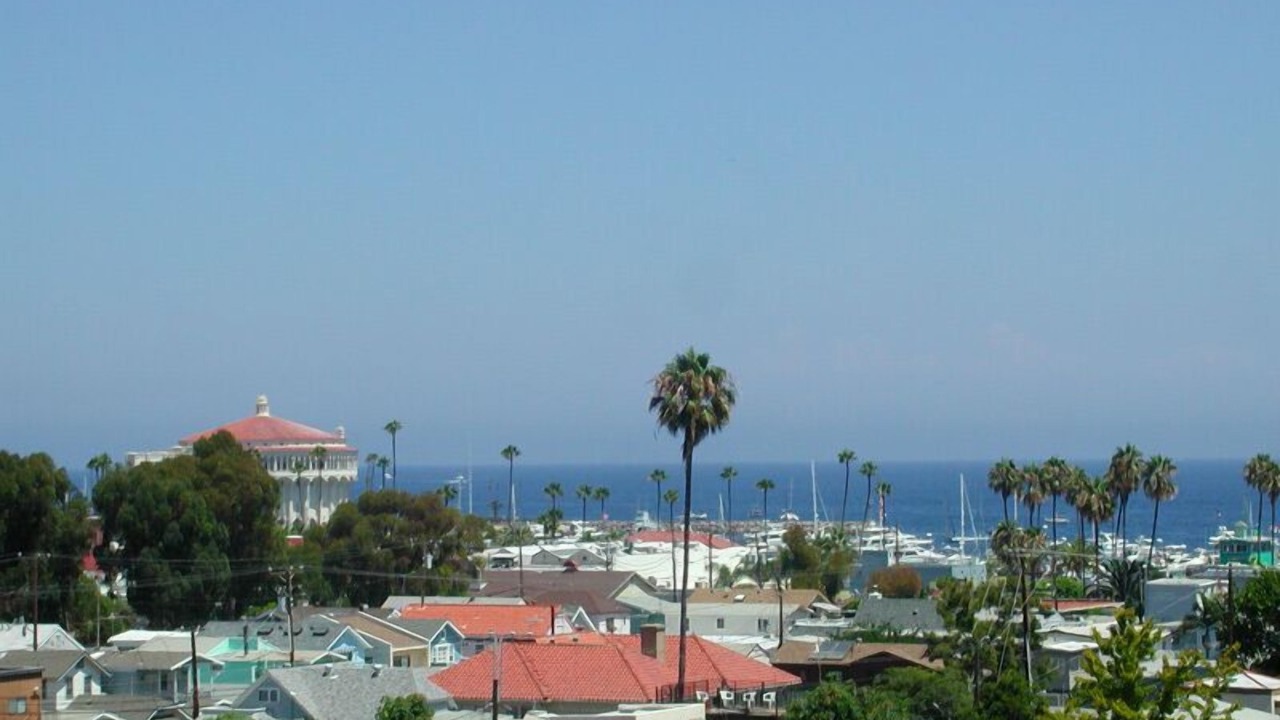 Photo of Others in Avalon