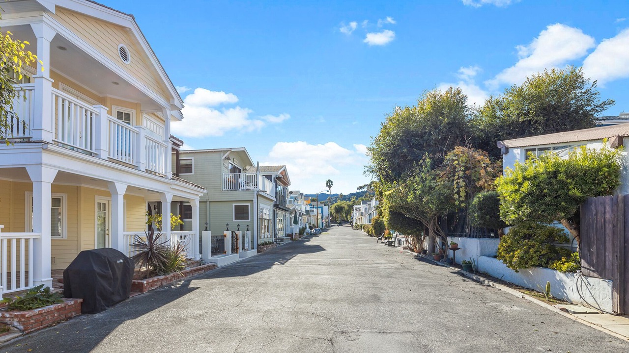 Photo of Others in Avalon