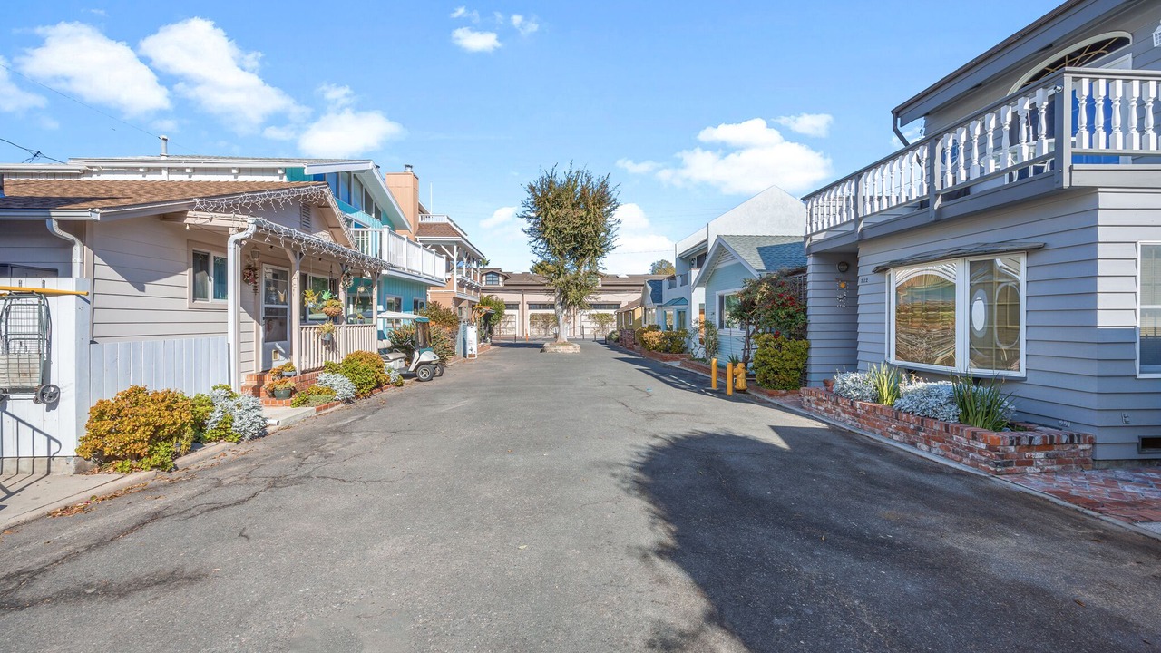Photo of Others in Avalon