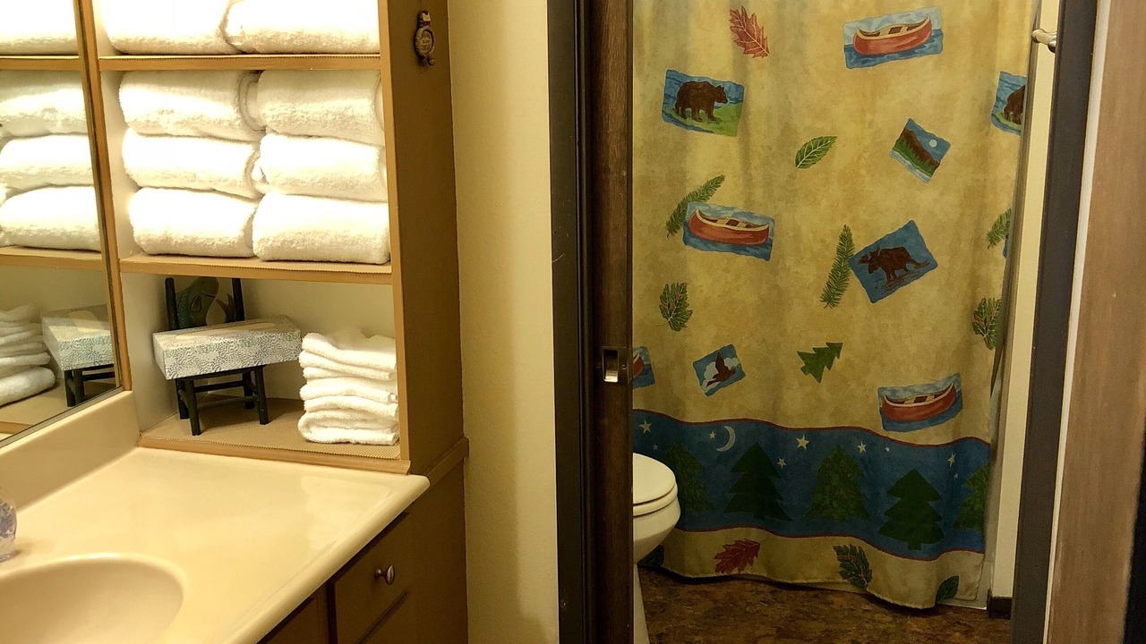 Photo of Bathroom in Lake Almanor Country Club