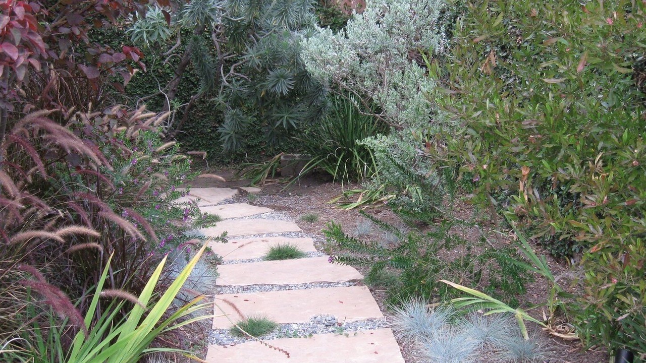 Photo of Outdoor in Mar Vista