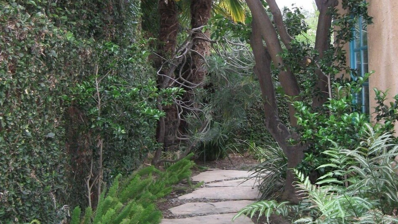 Photo of Outdoor in Mar Vista