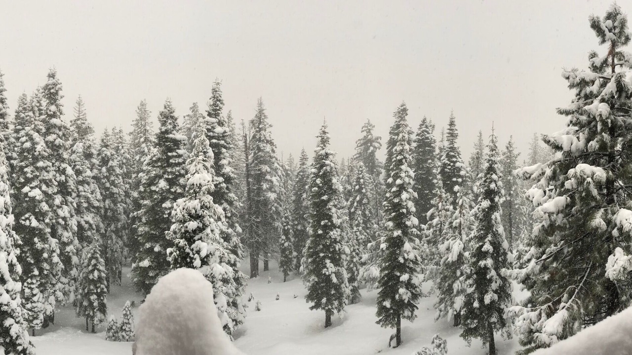 Photo of Outdoor in Truckee