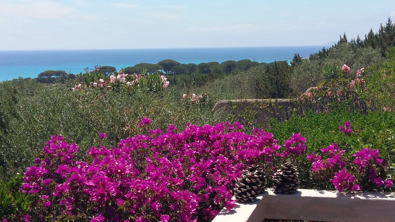 Photo of Outdoor in Hameau de Palombaggia