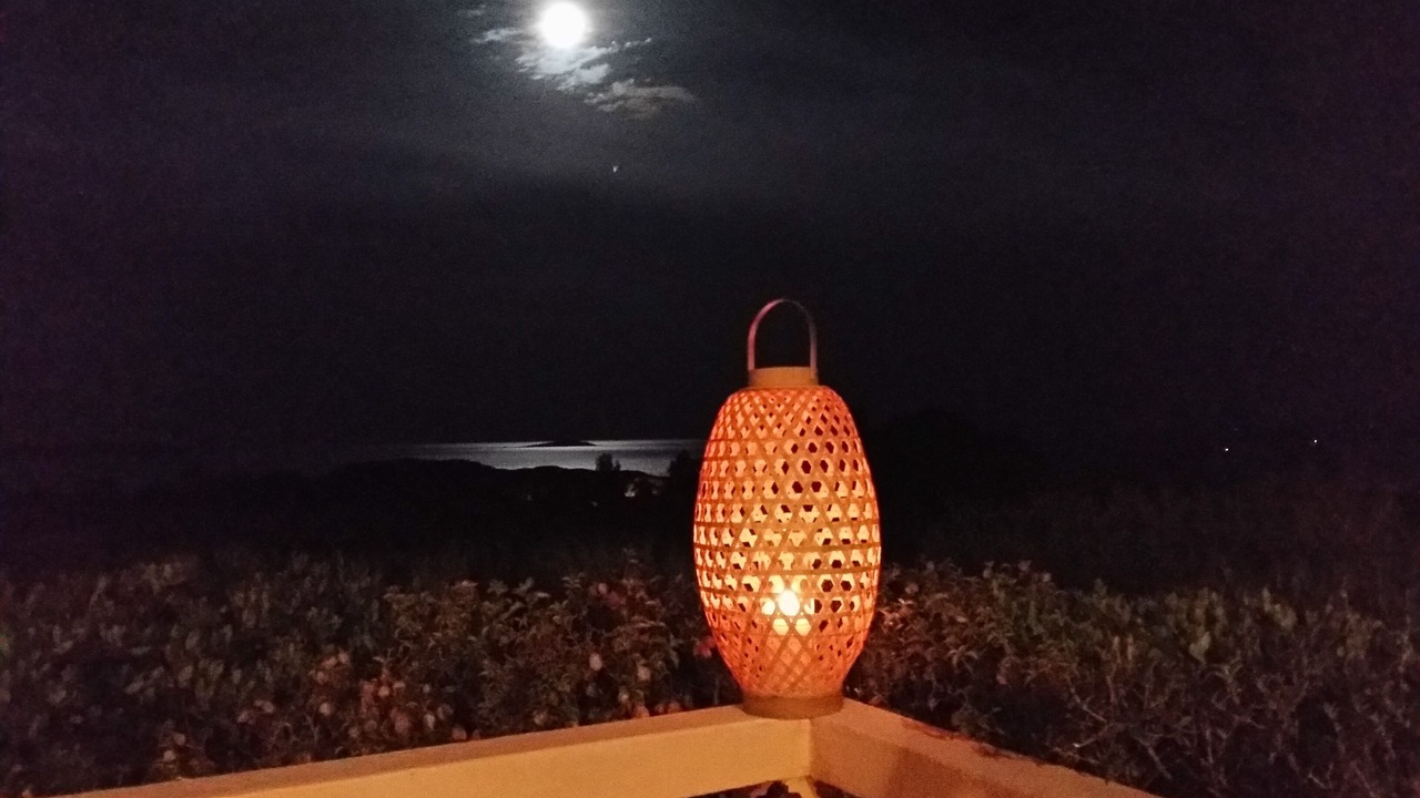 Photo of Outdoor in Hameau de Palombaggia