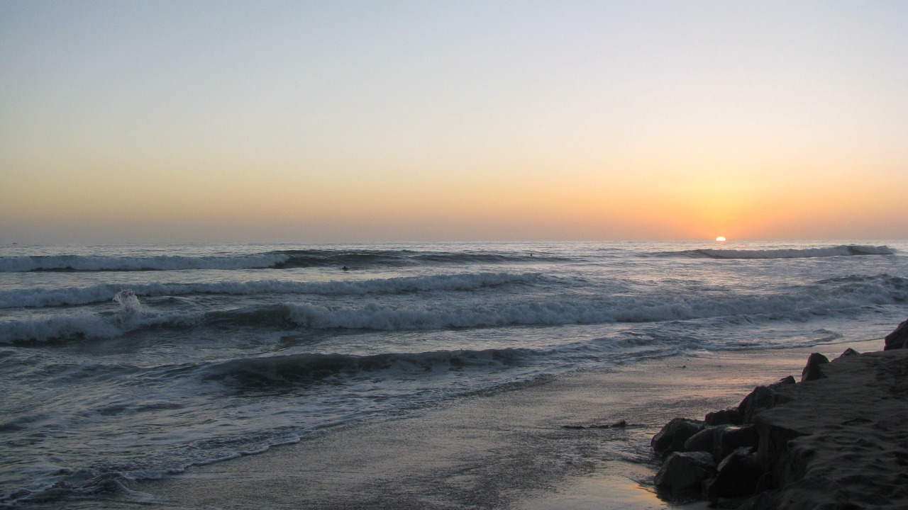 Photo of Others in Del Mar Heights