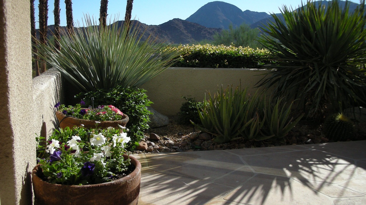 Photo of Others in Palm Desert