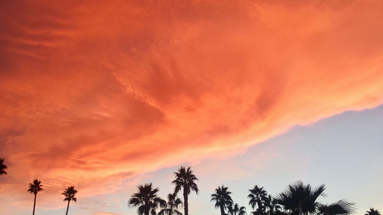 Photo of Others in Palm Desert