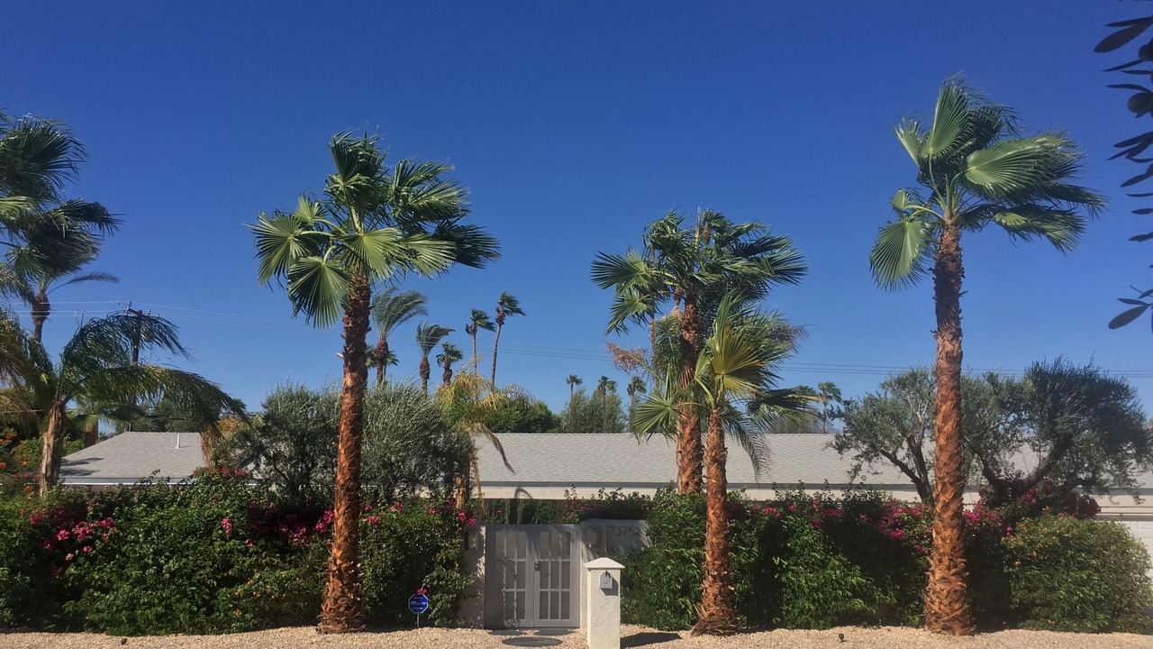 Photo of Others in Palm Desert